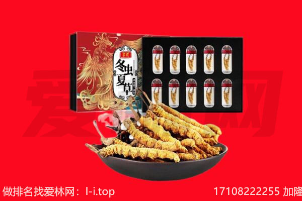 桂林市回收虫草.jpg